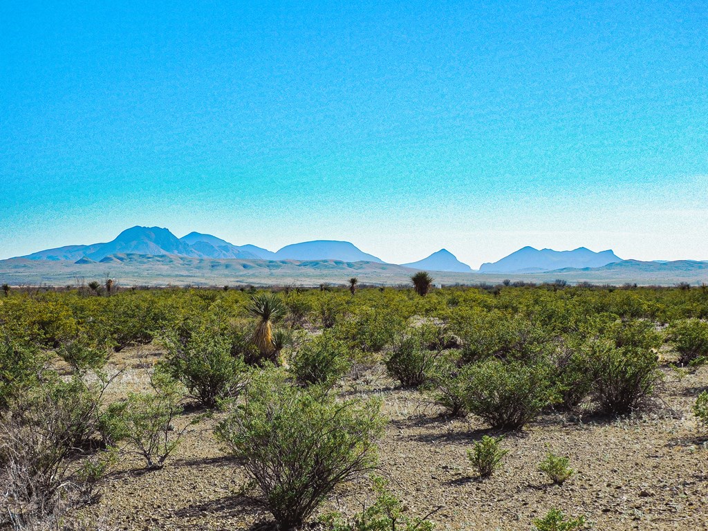 15413 Amarillo St, Terlingua, Texas image 8