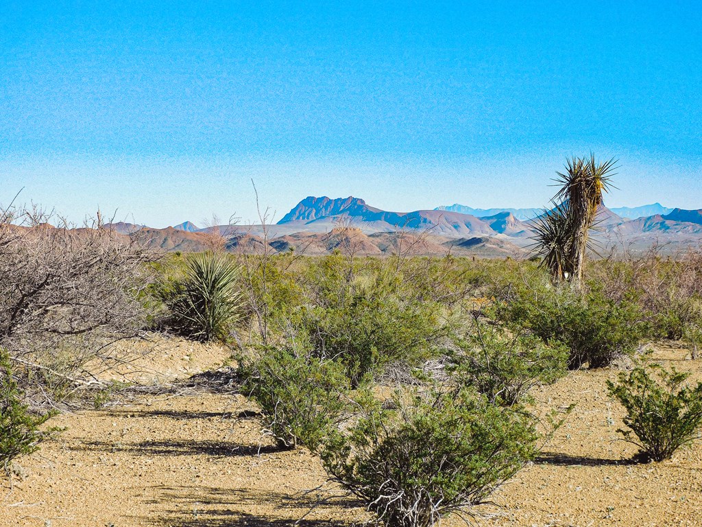 15413 Amarillo St, Terlingua, Texas image 12