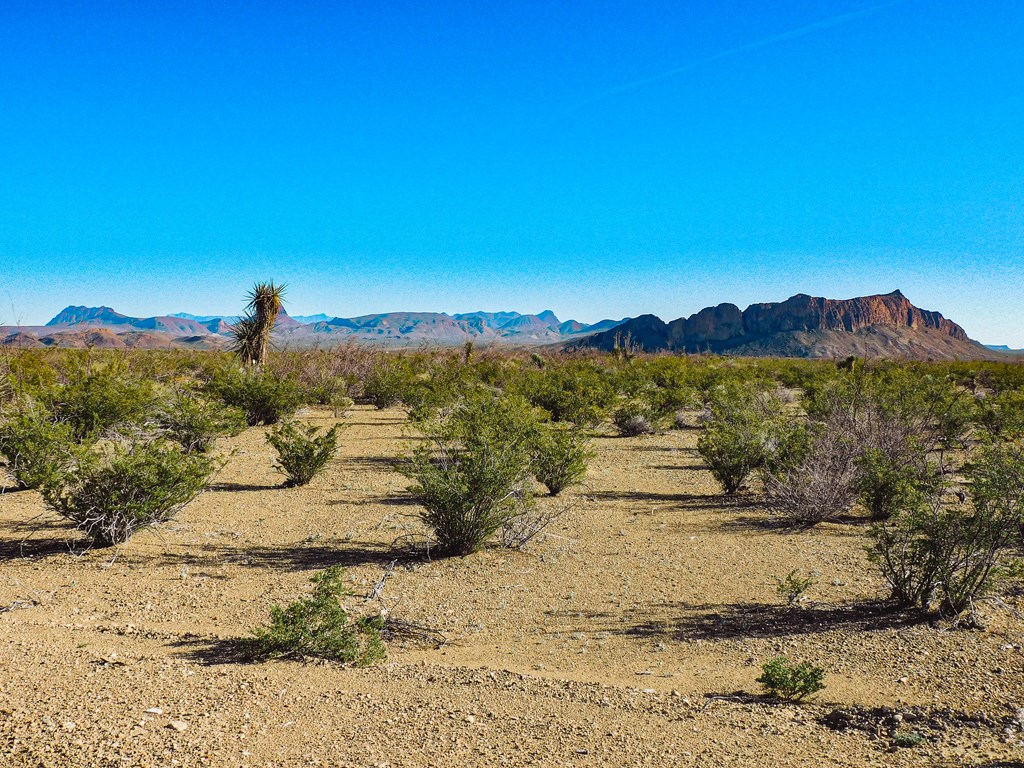 15413 Amarillo St, Terlingua, Texas image 11