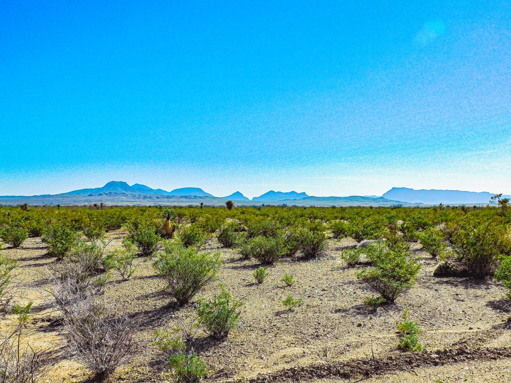 15413 Amarillo St, Terlingua, Texas image 7