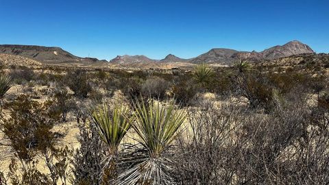 Vacant Land For Sale - 24387 Echo St<br/> Brewster County, Terlingua, TX 79852
