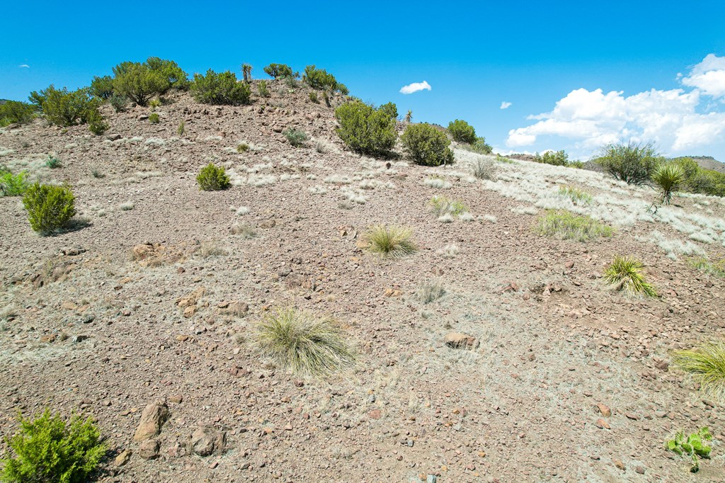 7 Hill Drive, Alpine, Texas image 18