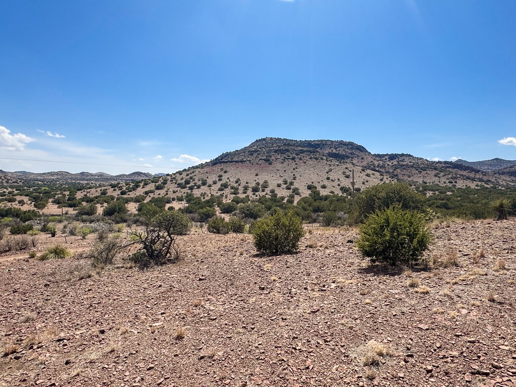 7 Hill Drive, Alpine, Texas image 5