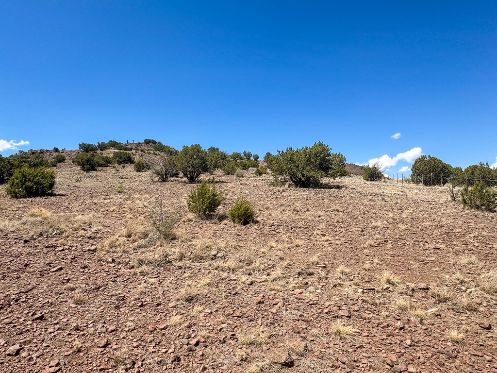 7 Hill Drive, Alpine, Texas image 3
