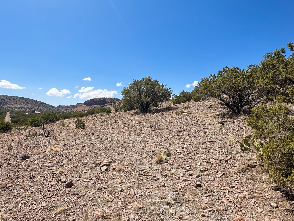 7 Hill Drive, Alpine, Texas image 9
