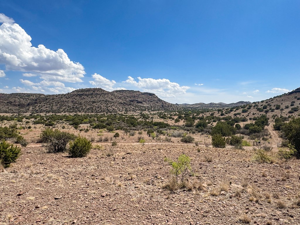 7 Hill Drive, Alpine, Texas image 11