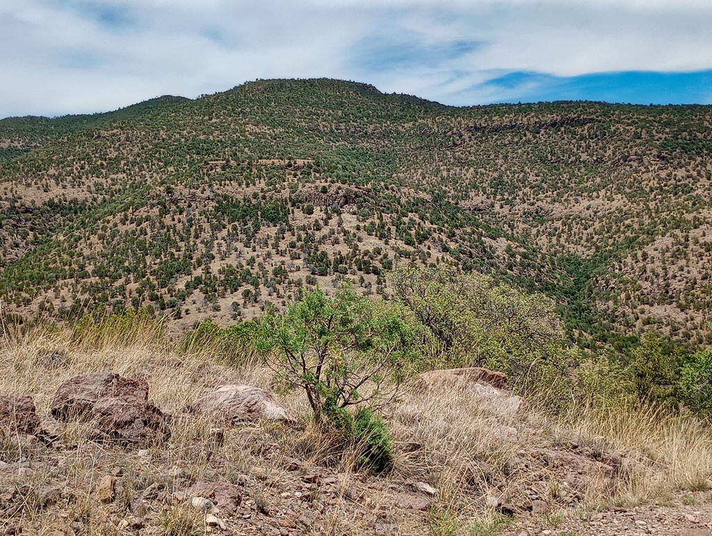 209 Low Meadow Trail, Fort Davis, Texas image 14