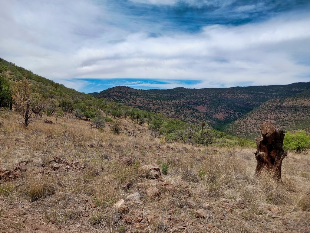 209 Low Meadow Trail, Fort Davis, Texas image 7