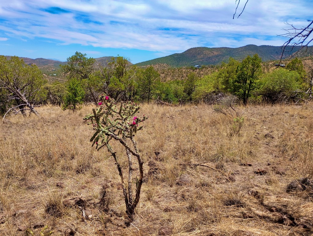 209 Low Meadow Trail, Fort Davis, Texas image 18