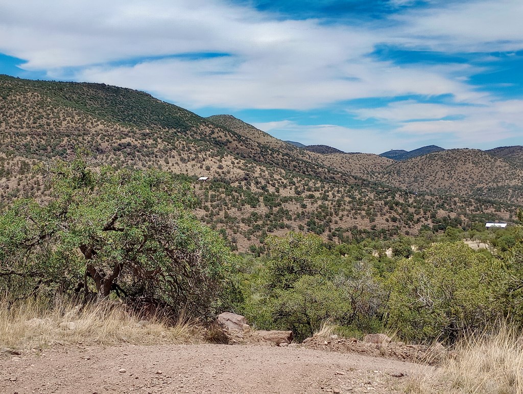 209 Low Meadow Trail, Fort Davis, Texas image 15