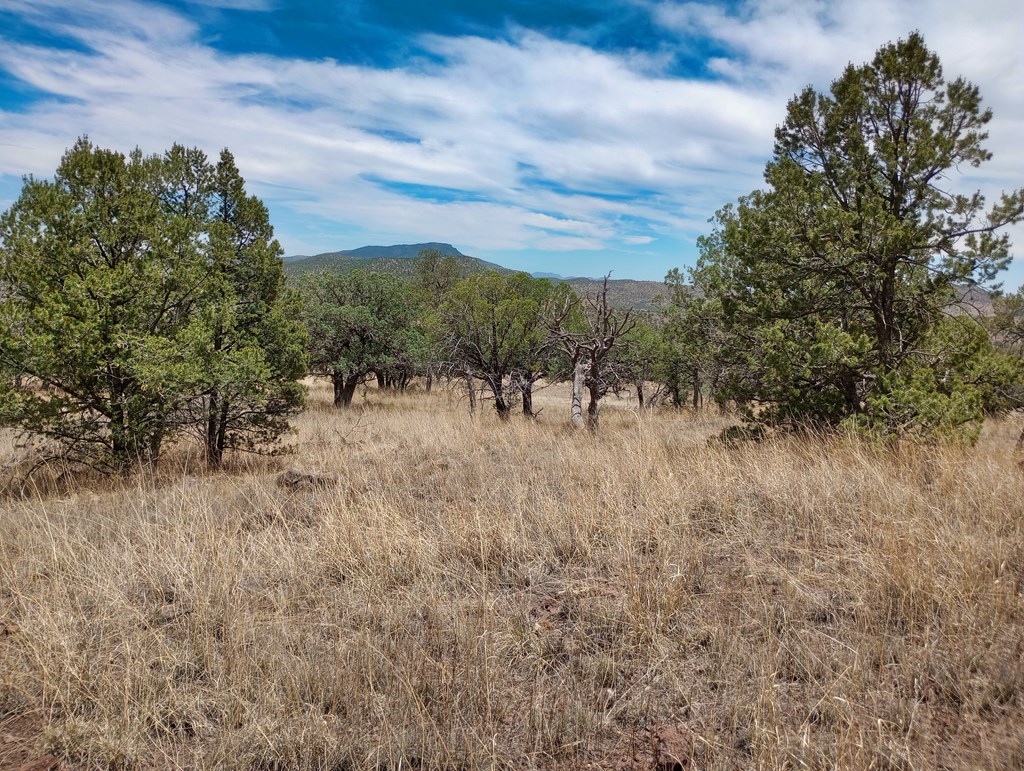 209 Low Meadow Trail, Fort Davis, Texas image 17