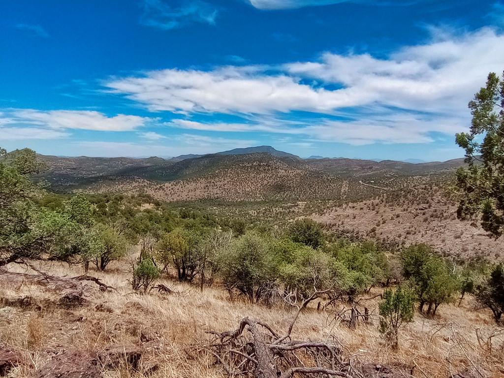 209 Low Meadow Trail, Fort Davis, Texas image 3