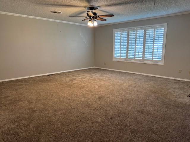 304 County Road 331, Seminole, Texas image 22