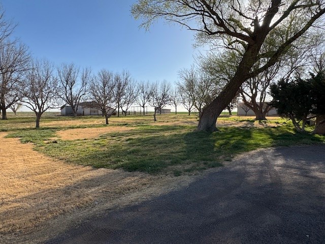 304 County Road 331, Seminole, Texas image 6
