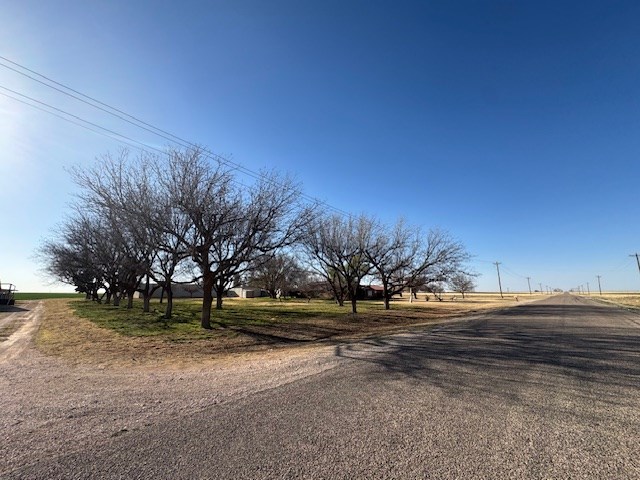 304 County Road 331, Seminole, Texas image 2