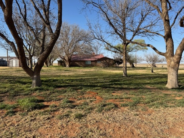 304 County Road 331, Seminole, Texas image 4