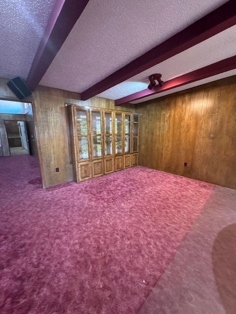 304 County Road 331, Seminole, Texas image 18