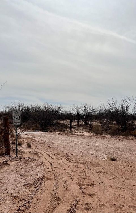 Vacant Land For Sale - TBD SW Cr 389<br/> Grandfalls, TX 79742