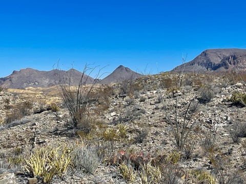 Vacant Land For Sale - TR:2687 Herman's Peak Rd<br/> Brewster County, Terlingua, TX 79852