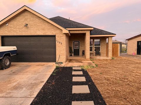 Homes For Sale - 1203 Bluebonnet Ave<br/> Ector County, Odessa, TX 79761