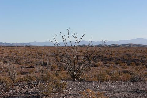 Vacant Land For Sale - 29560 County Rd 169<br/> Presidio, TX 79845