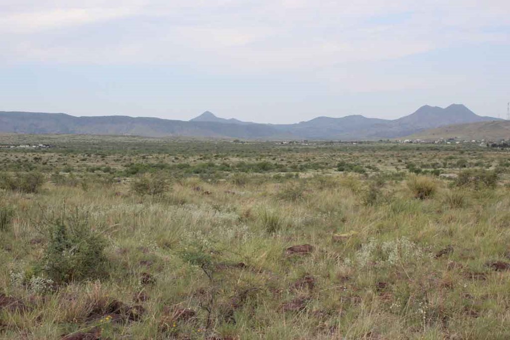 Tract 13 Sierra La Rana, Alpine, Texas image 7