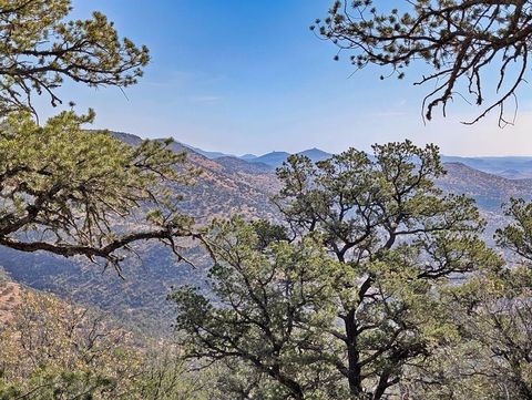 Vacant Land For Sale - 300 Low Meadow Trail<br/> Jeff Davis County, Fort Davis, TX 79734