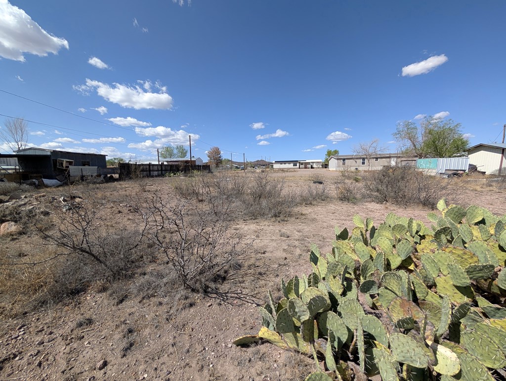 700 Rattlesnake Ln, Fort Davis, Texas image 16