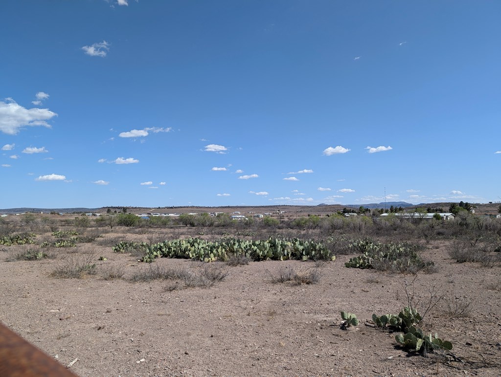 700 Rattlesnake Ln, Fort Davis, Texas image 14