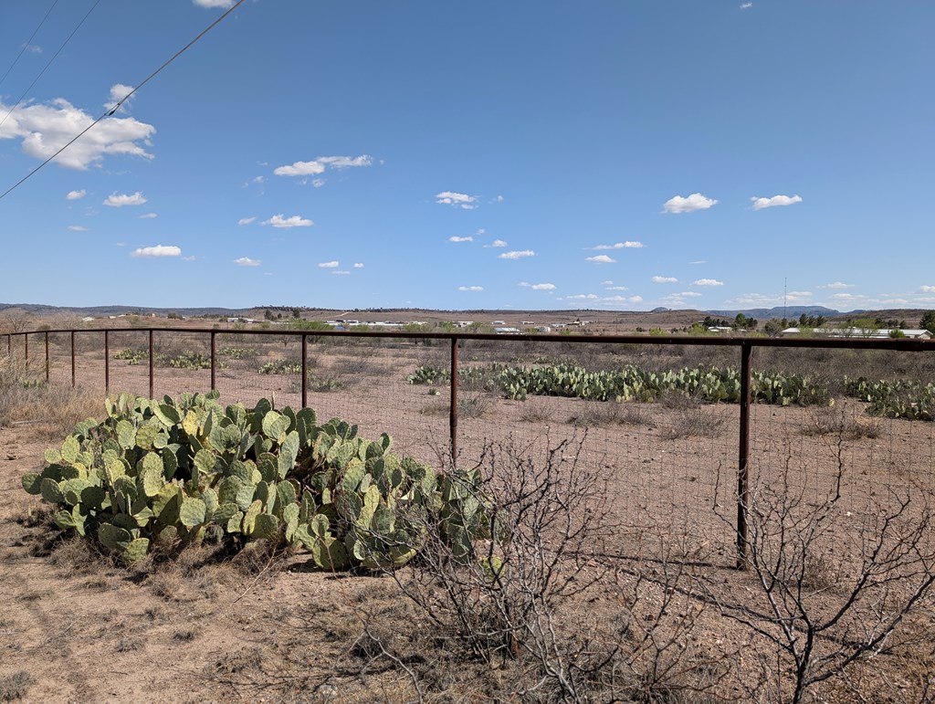 700 Rattlesnake Ln, Fort Davis, Texas image 12