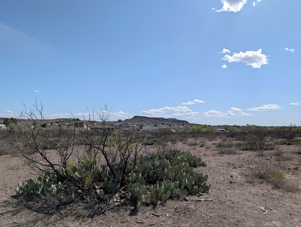 700 Rattlesnake Ln, Fort Davis, Texas image 13