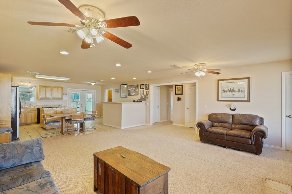 43031 Fm 1703, Alpine, Texas image 4