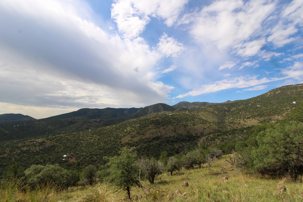 102 Low Meadow Point, Fort Davis, Texas image 30
