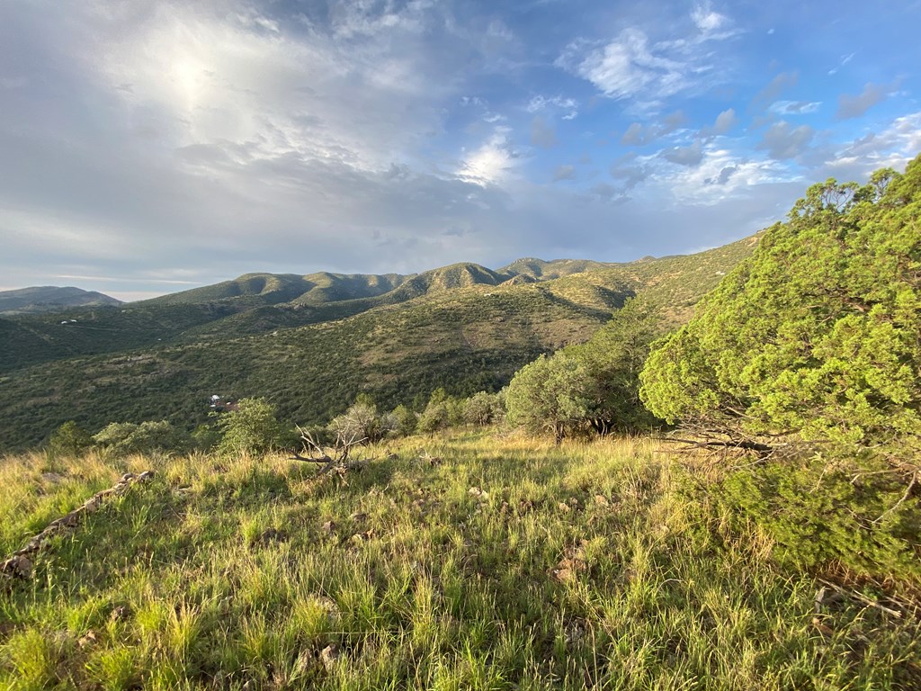 102 Low Meadow Point, Fort Davis, Texas image 29
