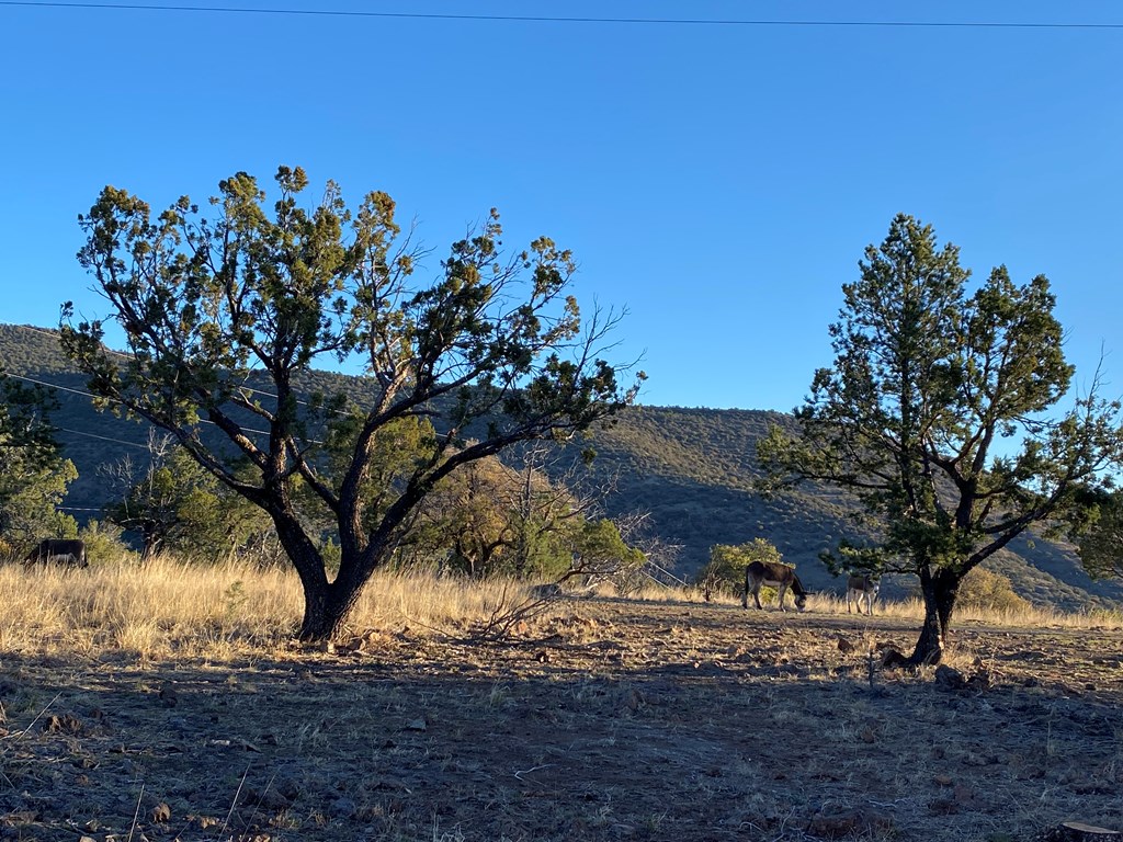 102 Low Meadow Point, Fort Davis, Texas image 6