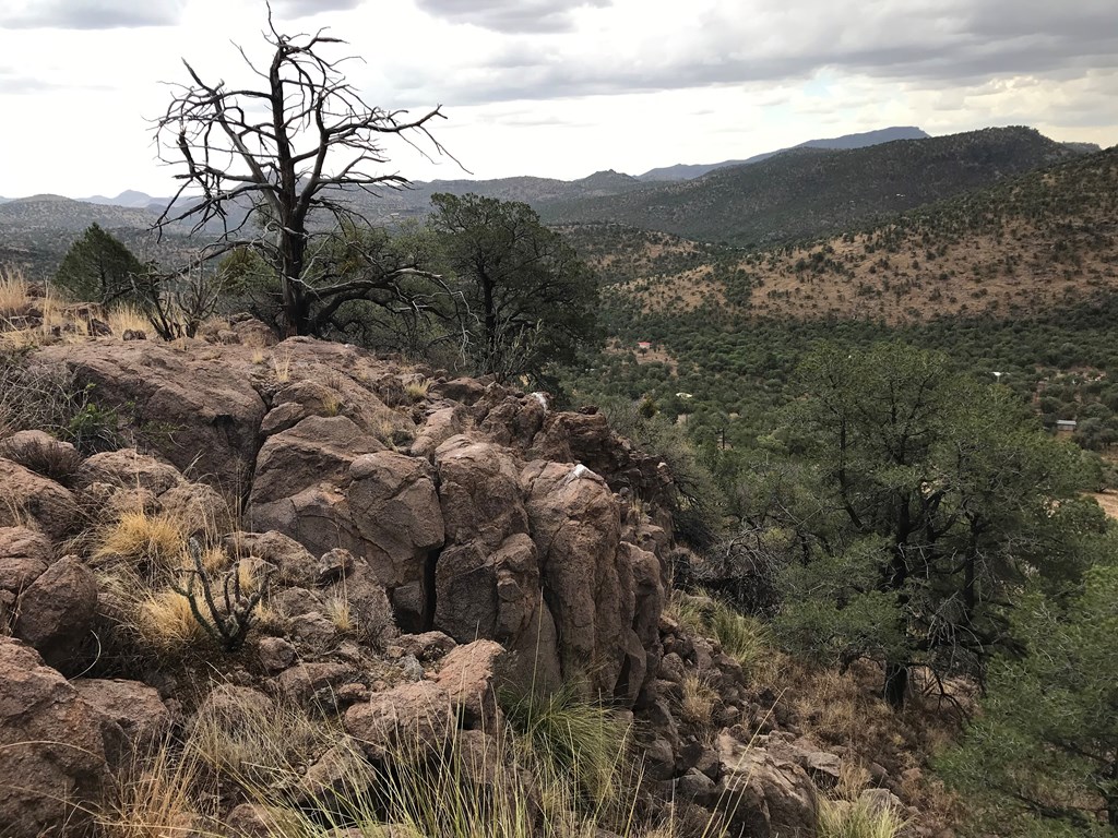 102 Low Meadow Point, Fort Davis, Texas image 31