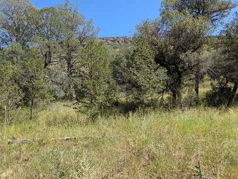 Vacant Land For Sale - 414 Squaw Valley Trail<br/> Jeff Davis County, Fort Davis, TX 79734
