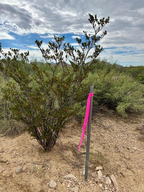 Vacant Land For Sale - TR NC846 Ruby Road<br/> Brewster County, Terlingua, TX 79852