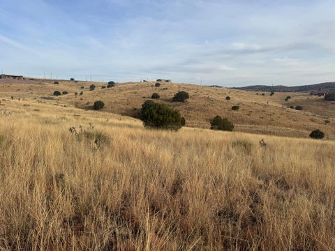 Vacant Land For Sale - 106 White Tail Dr<br/> Fort Davis, TX 79734