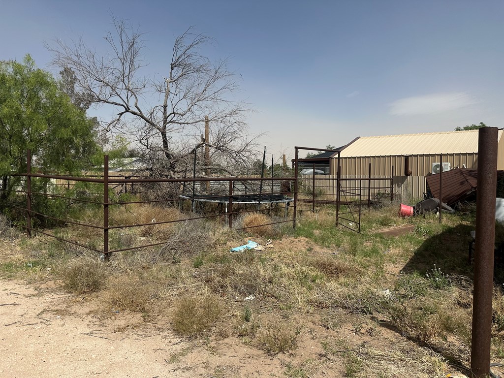 305 S Ursila, Monahans, Texas image 11