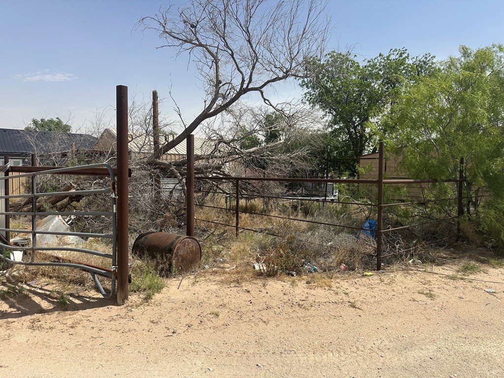 305 S Ursila, Monahans, Texas image 12