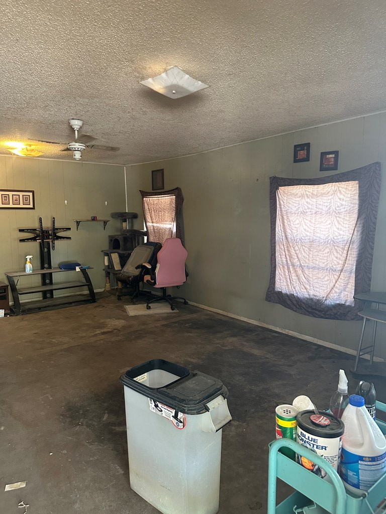 305 S Ursila, Monahans, Texas image 2