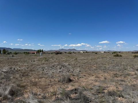 Homes For Sale - 210 Sgt. Mulhern Loop<br/> Fort Davis, TX 79734