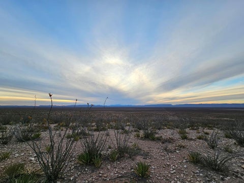 Vacant Land For Sale - TBD Other<br/> Van Horn, TX 79855
