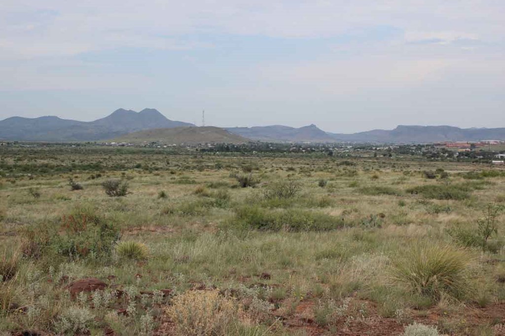 Tract 12 Sierra La Rana, Alpine, Texas image 6