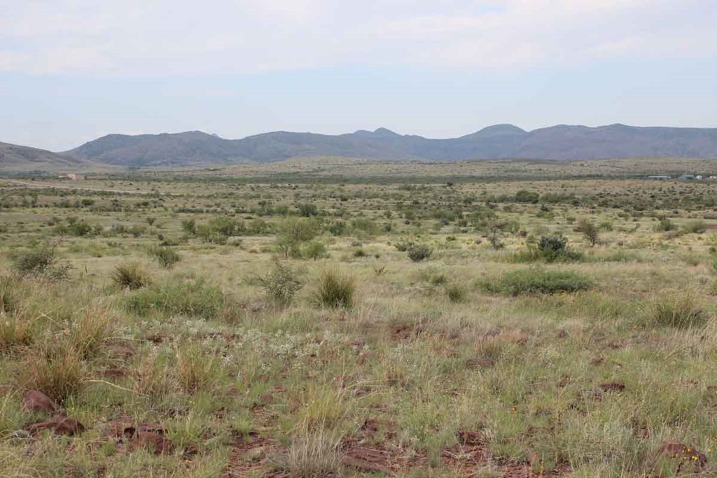 Tract 12 Sierra La Rana, Alpine, Texas image 8