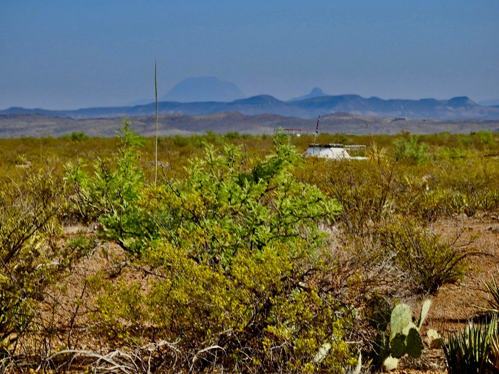 889 Sombrero Peak Road, Terlingua, Texas image 5