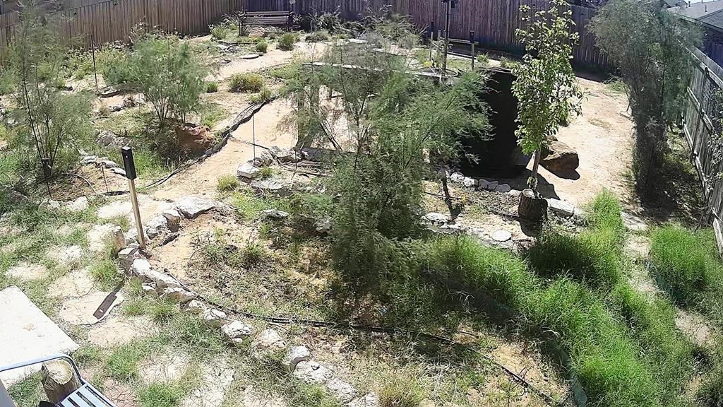 1324 Masquerade Blvd, Odessa, Texas image 8