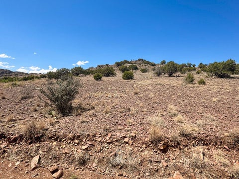 Vacant Land For Sale - TBD Hill Drive<br/> Alpine, TX 79830