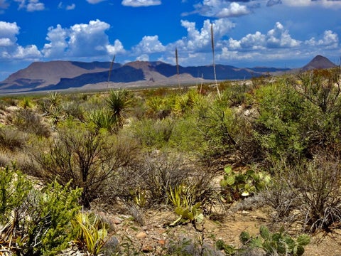 Vacant Land For Sale - 4803B Evening Star<br/> Brewster County, Terlingua, TX 79852